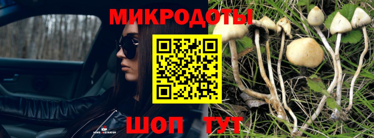 Ангарск  Галлюциногенные грибы прущие грибы  Псилоцибиновые грибы Cubensis  Вход с VPN 